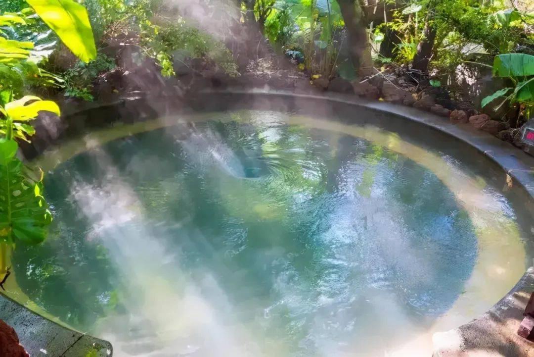 阴暗森林